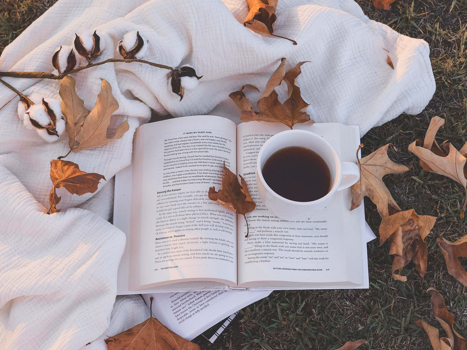 Three Simple Ways to Honor the Fall Equinox