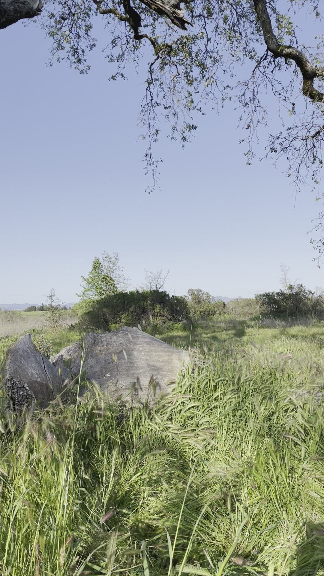 Women's Cotton Mini Skirt with Pockets, 100% Cotton Clothing – Cotton ... Women's Cotton Mini Skirt with Pockets, 100% Cotton Clothing – Cotton ...